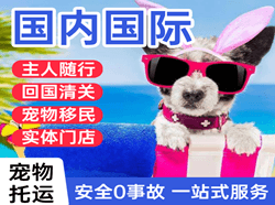 硕放机场邮寄国际宠物托运 【国